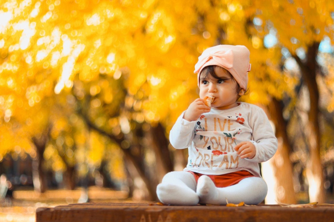 The Perfect Travel Stroller for Family Adventures